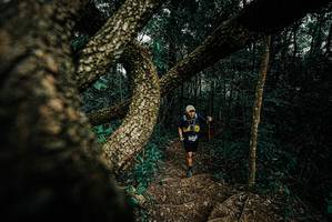 BIB: 
                            <button type="button" onclick="openModal(25699854)" class="btn btn-primary btn-sm float-right btn-popup" data-toggle="modal" data-target=".modal-high-quality">
                        <i class="fas fa-shopping-cart"></i> Add to Cart
                    </button>
                                            <button type="button" onclick="isThisMe(25699854, true)" class="btn btn-success btn-sm float-right btn-popup btn-isme hidden" data-toggle="tooltip" data-placement="bottom" title="นี่คือรูปของคุณใช่ไหม คลิกที่นี่เพื่อเอาเข้าอัลบั้ม">
                        <i class="fas fa-plus"></i> Add to album
                    </button>
                    <button type="button" onclick="isThisMe(25699854, false)" class="btn btn-warning btn-sm float-right btn-popup btn-isnotme hidden">
                        <i class="fas fa-ban"></i> Remove from album
                    </button>